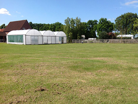 Paddock